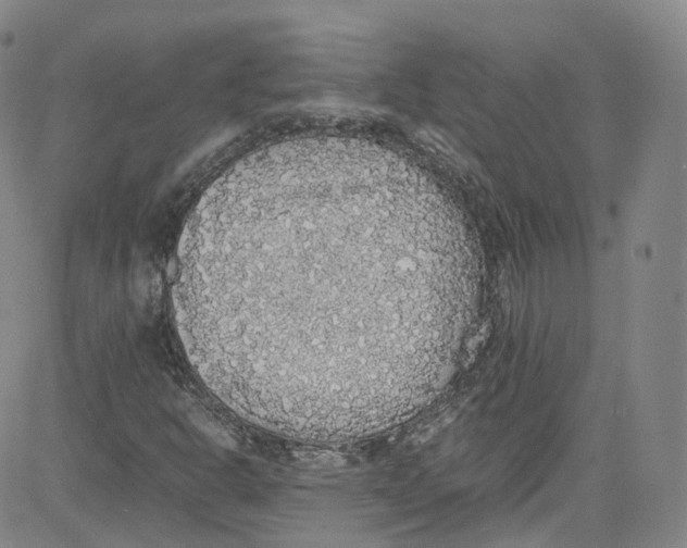 X0000080731302200701051049