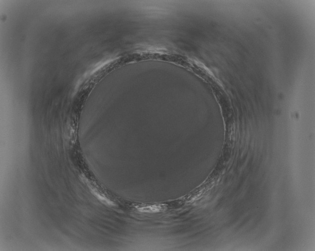 X0000080731303200701051049