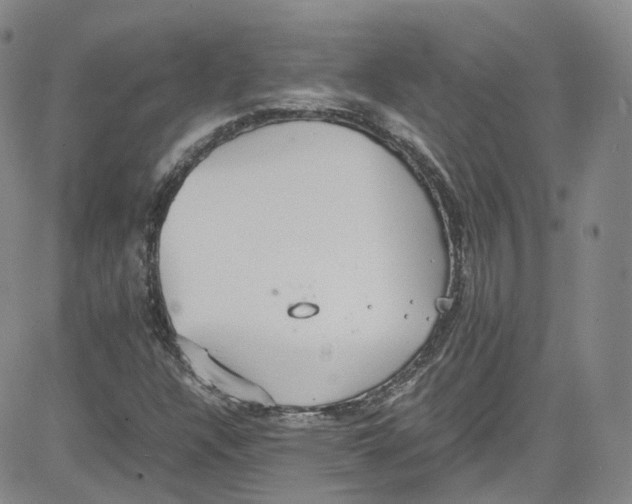 X0000080731304200701051049