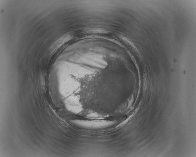 X0000080731305200701051049