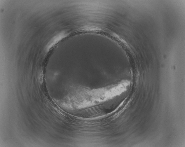 X0000080731306200701051049