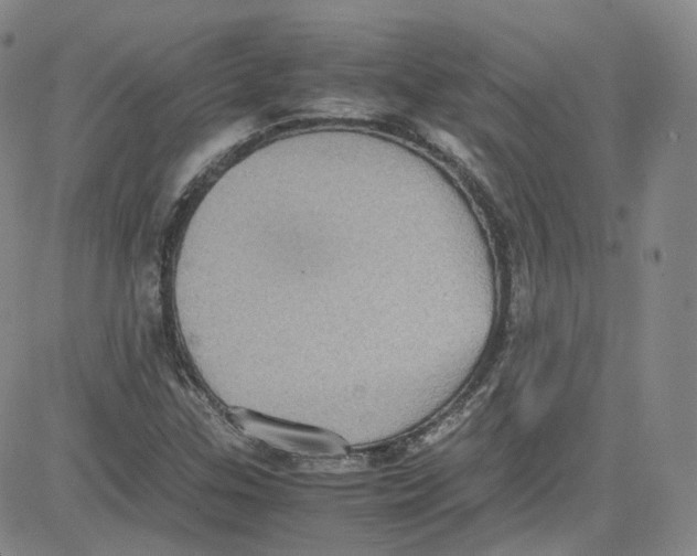 X0000080731307200701051049