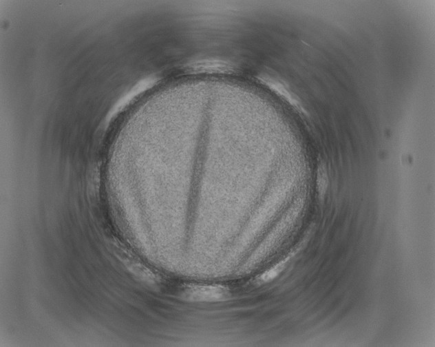 X0000080731309200701051049