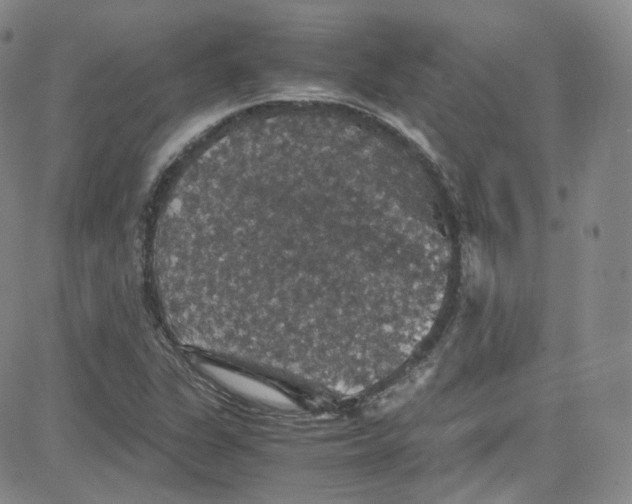 X0000080731311200701051049