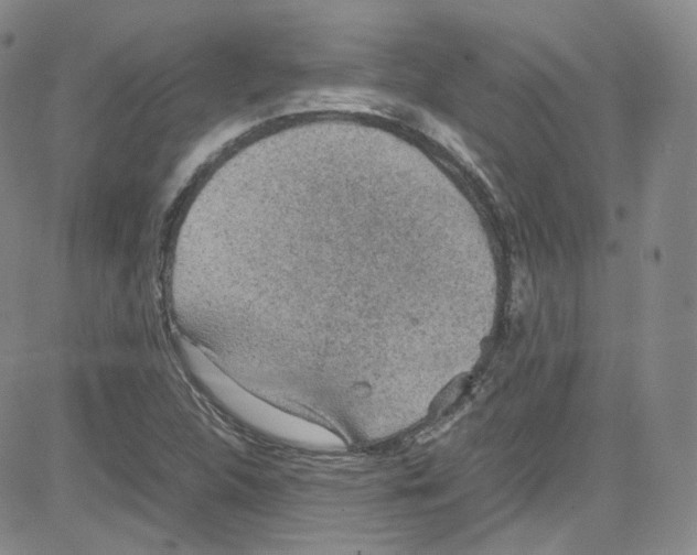 X0000080731312200701051049