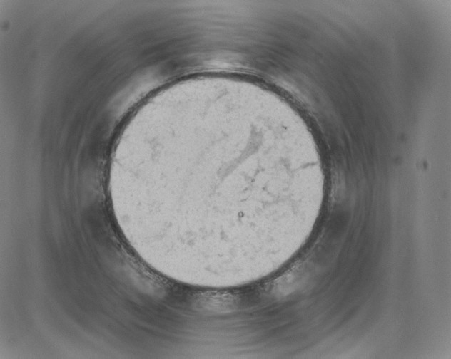 X0000080731314200701051049