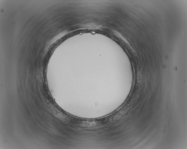 X0000080731315200701051049