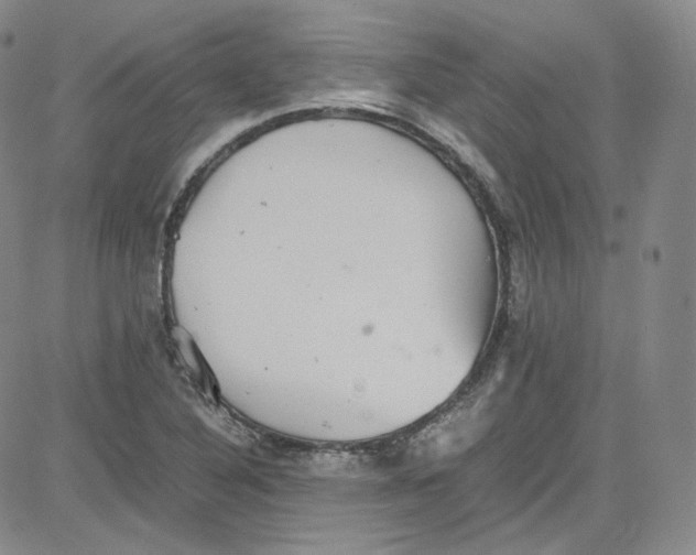 X0000080731316200701051049