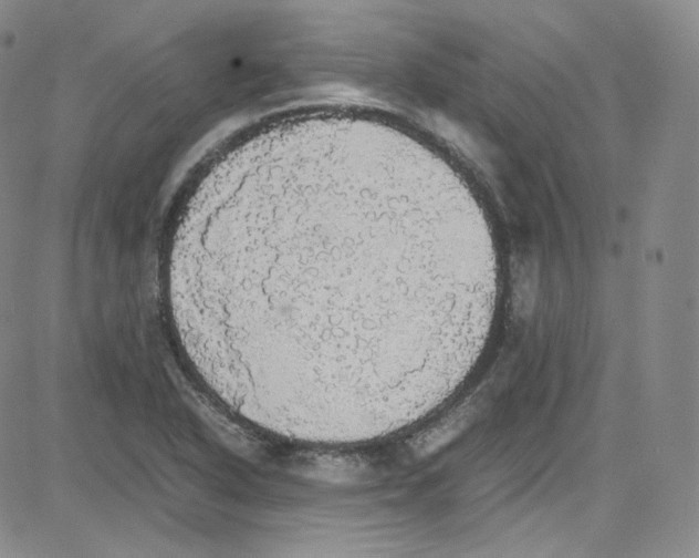 X0000080731318200701051049