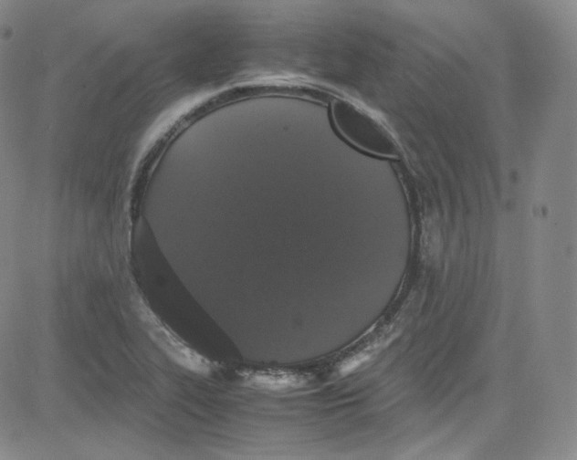 X0000080731319200701051049