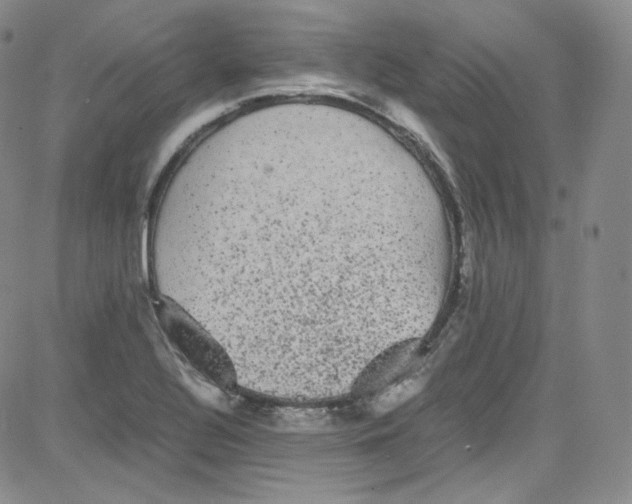 X0000080731320200701051049