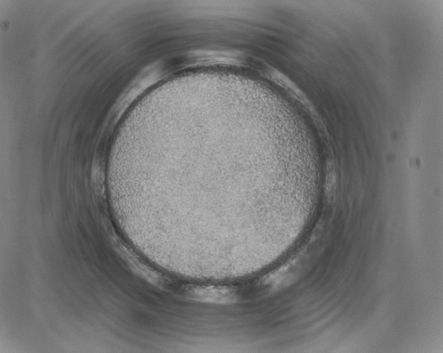 X0000080731321200701051049