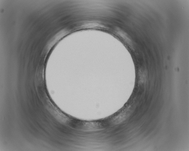 X0000080731322200701051049