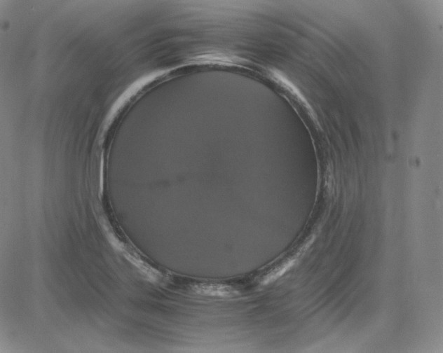 X0000080731323200701051049