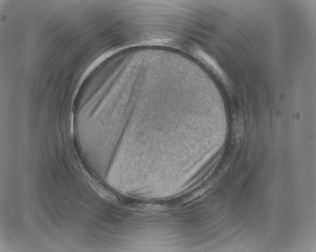 X0000080731324200701051049