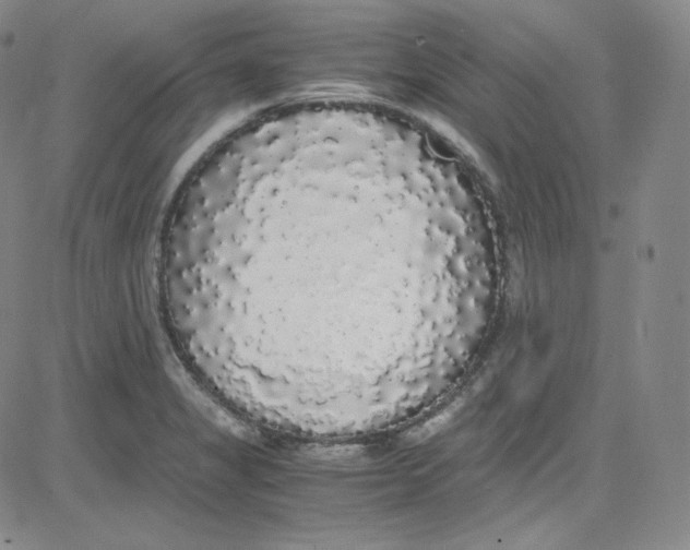 X0000080731325200701051049