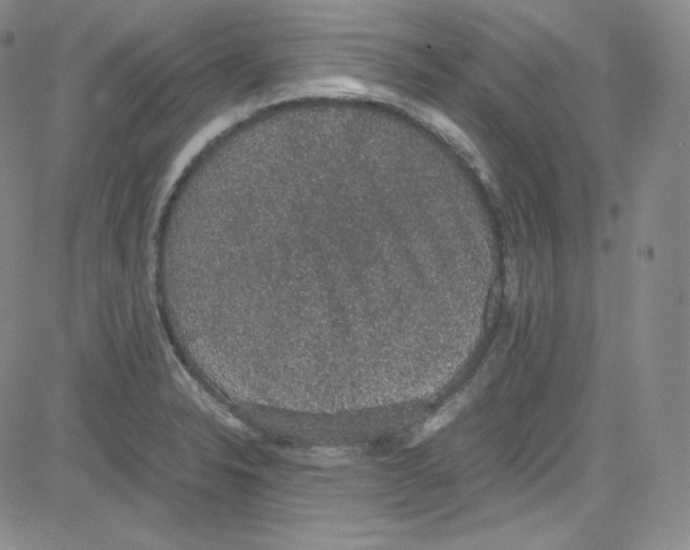 X0000080731326200701051049