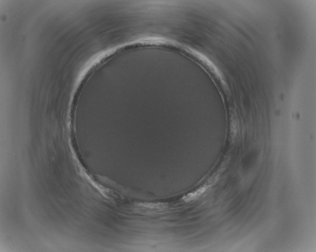 X0000080731327200701051049