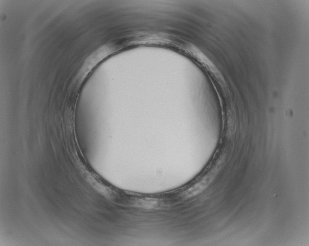 X0000080731329200701051049