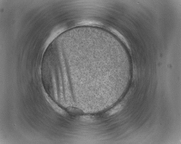 X0000080731330200701051049