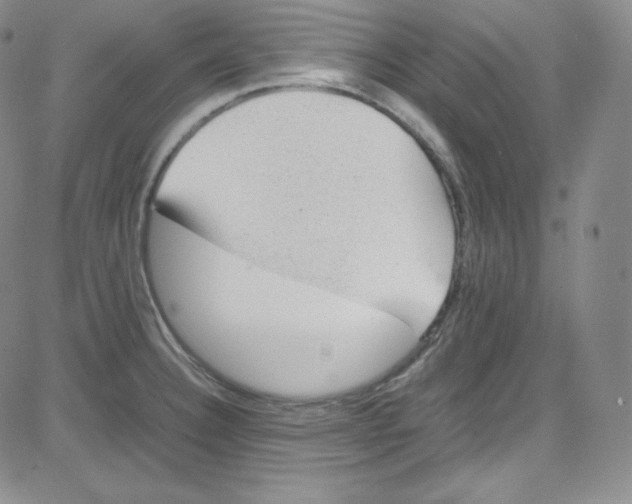 X0000080731332200701051049