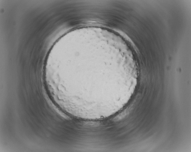 X0000080731333200701051049