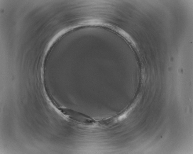 X0000080731334200701051049