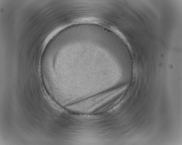 X0000080731336200701051049