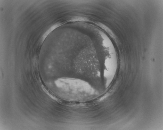 X0000080731337200701051049