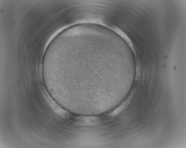 X0000080731340200701051049