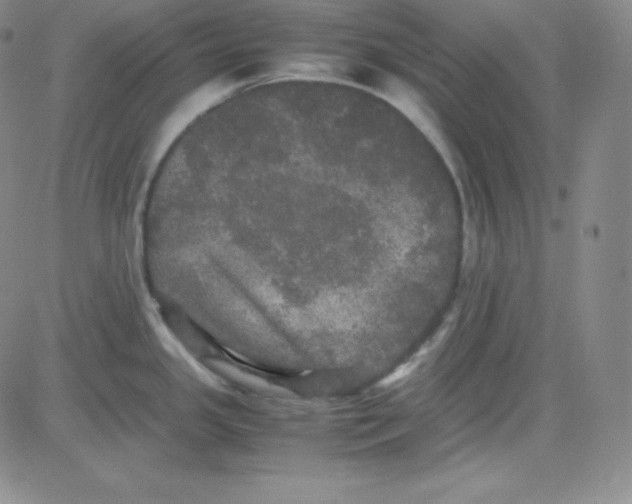 X0000080731341200701051049