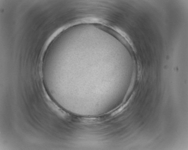 X0000080731342200701051049