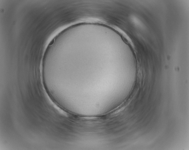 X0000080731343200701051049