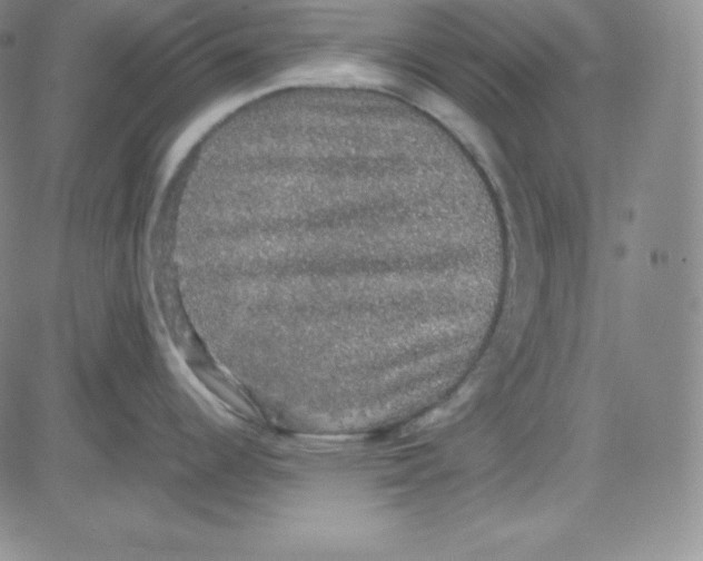 X0000080731344200701051050