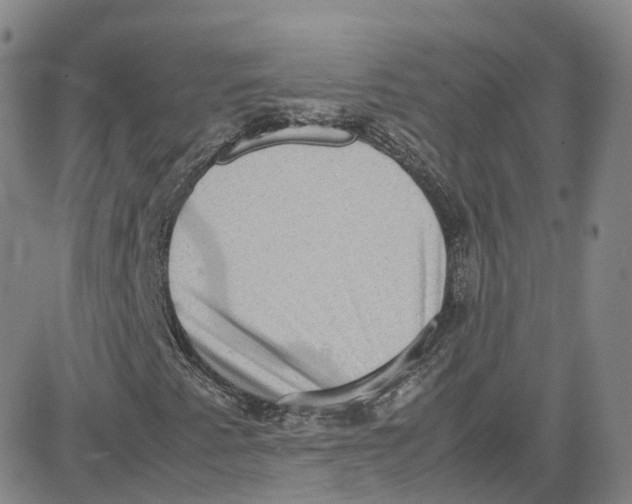 X0000080731345200701051049