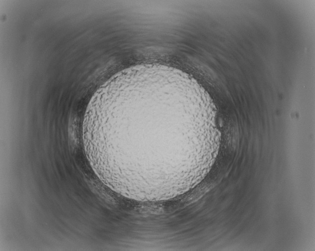 X0000080731346200701051049