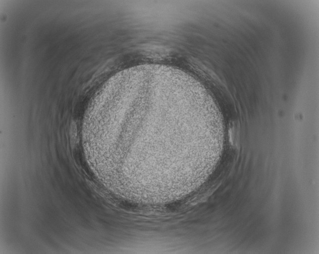 X0000080731347200701051049