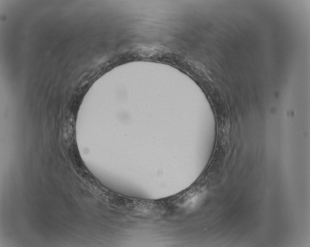 X0000080731349200701051049