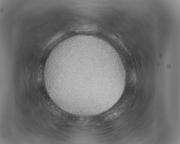 X0000080731350200701051049