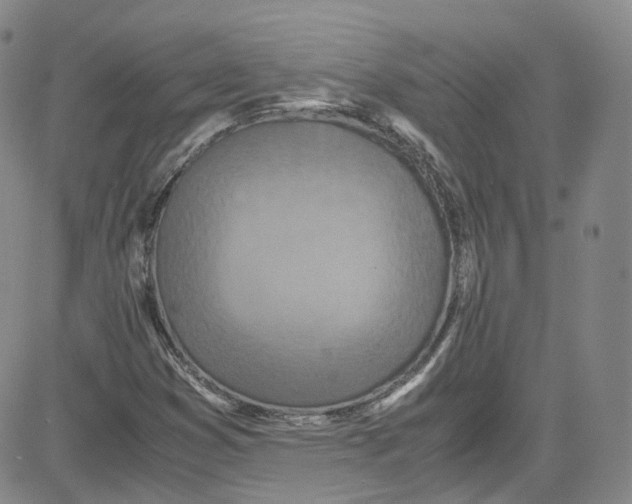 X0000080731353200701051049