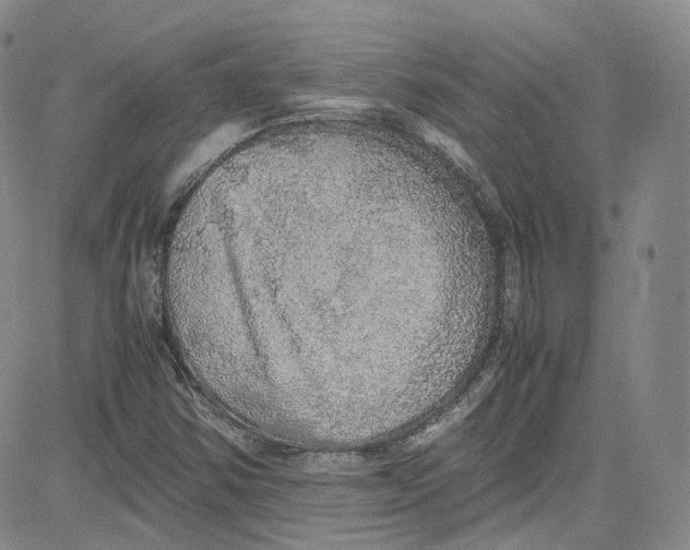 X0000080731354200701051049