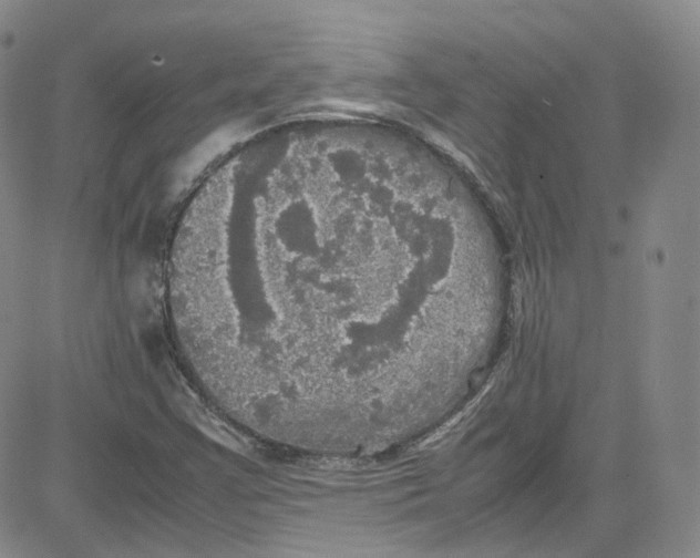 X0000080731355200701051049