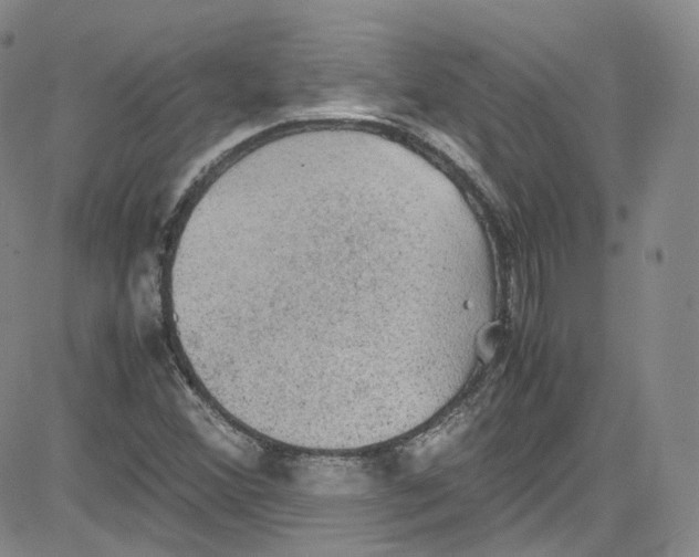 X0000080731356200701051049