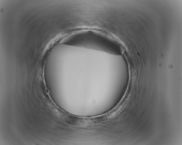 X0000080731357200701051049