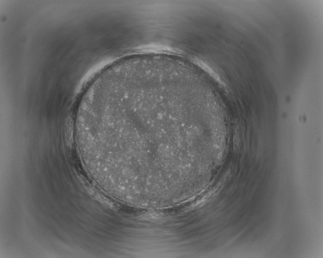 X0000080731358200701051049