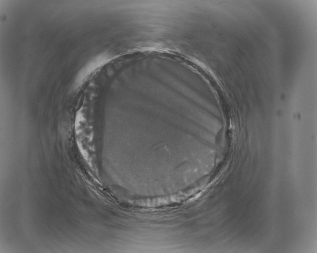 X0000080731359200701051048