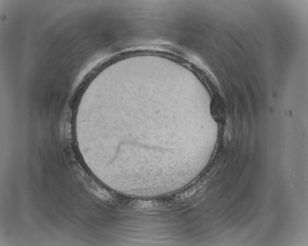 X0000080731360200701051048