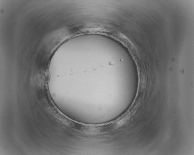 X0000080731361200701051048