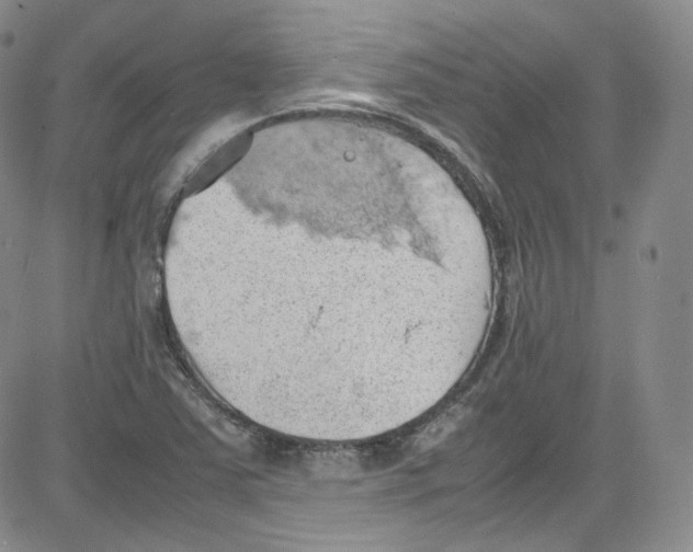 X0000080731363200701051048