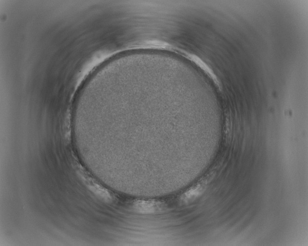 X0000080731364200701051048